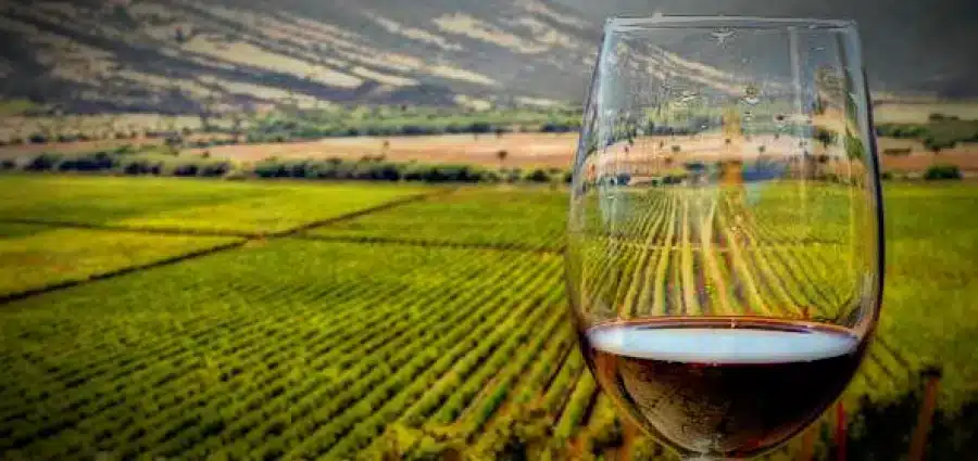 ISO para Bodegas y viñedos en Argentina
